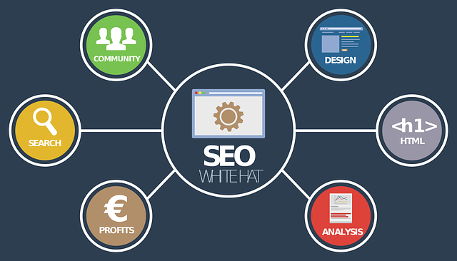 Best Insights on SEO Landscape in 2024 3 SEO Landscape in 2024