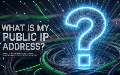 What is my Public IP Address