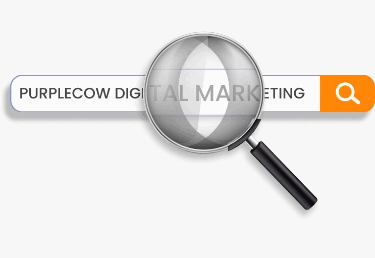 Evolution of Local SEO: Why a Local SEO Agency is a Business Necessity in 2026 2 Local SEO Agency